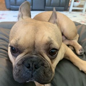 Meet your Posher, Logan